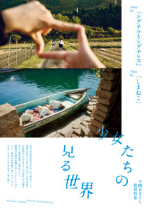 シグナルとシグナレス : ポスター画像